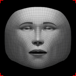 gif showing development of the mask file